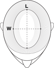 Hair Loss Measurement Chart | BeautyTrends